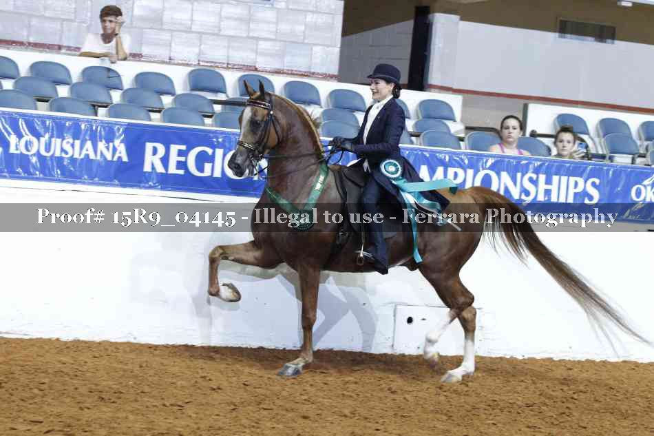 Proof 15R9_04145