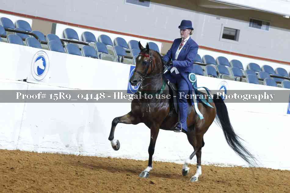 Proof 15R9_04148