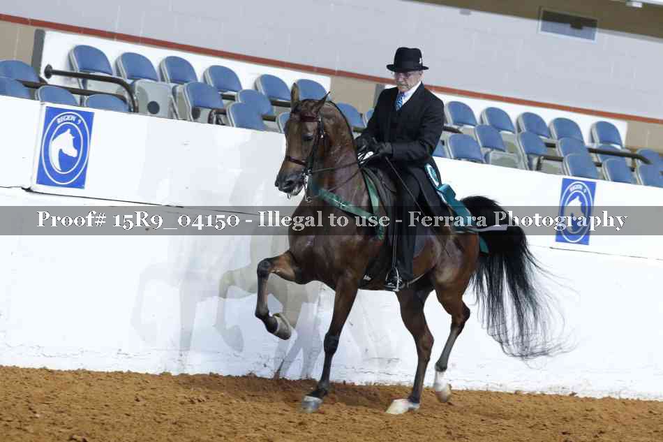 Proof 15R9_04150