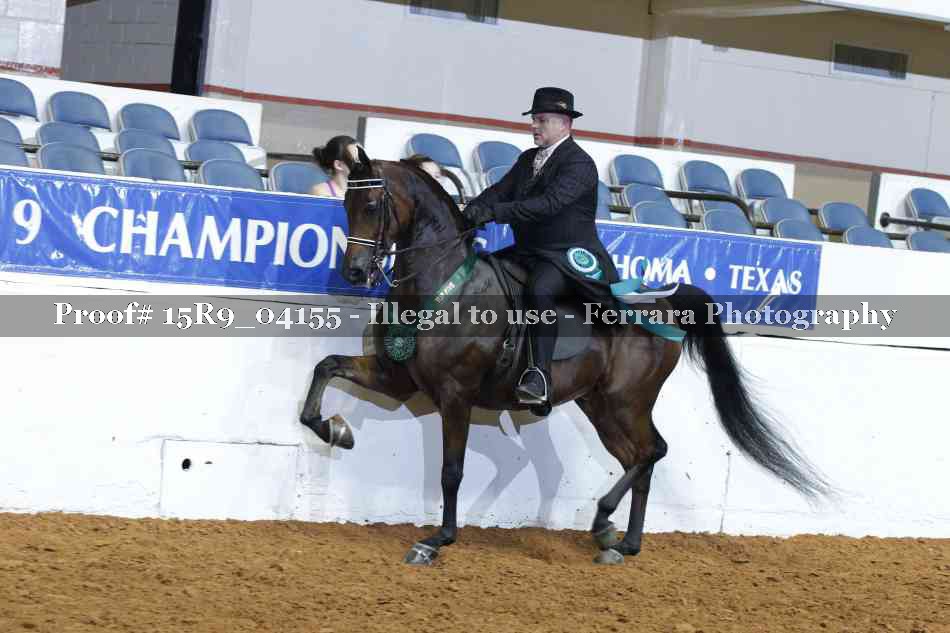 Proof 15R9_04155