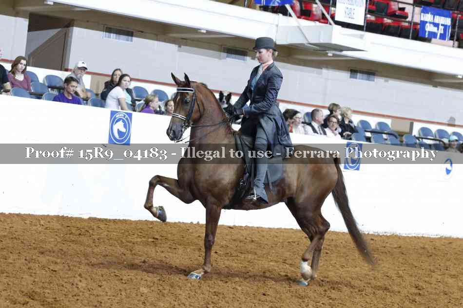 Proof 15R9_04183