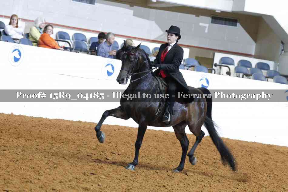 Proof 15R9_04185