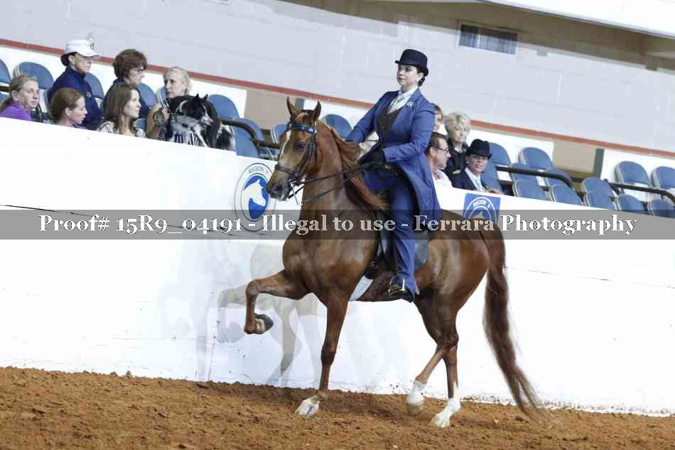 Proof 15R9_04191