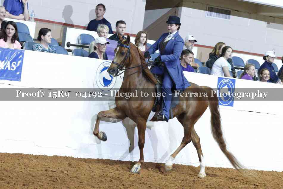 Proof 15R9_04192