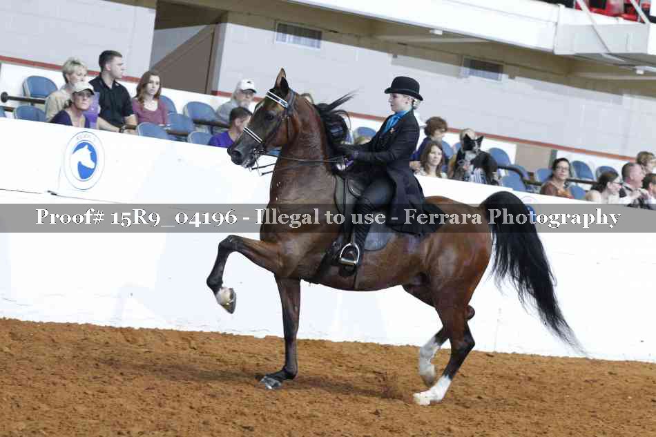 Proof 15R9_04196