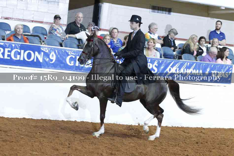 Proof 15R9_04199