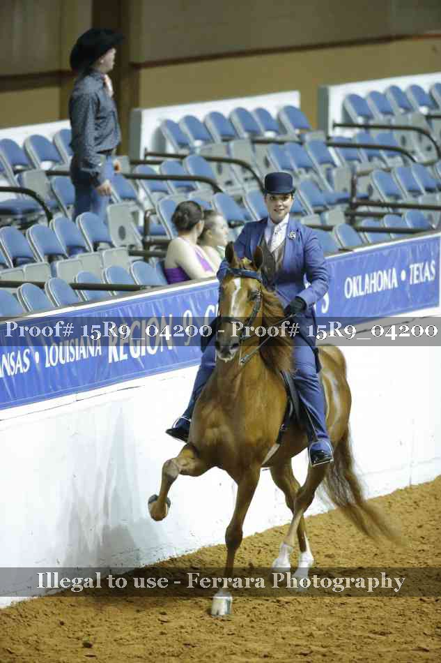 Proof 15R9_04200