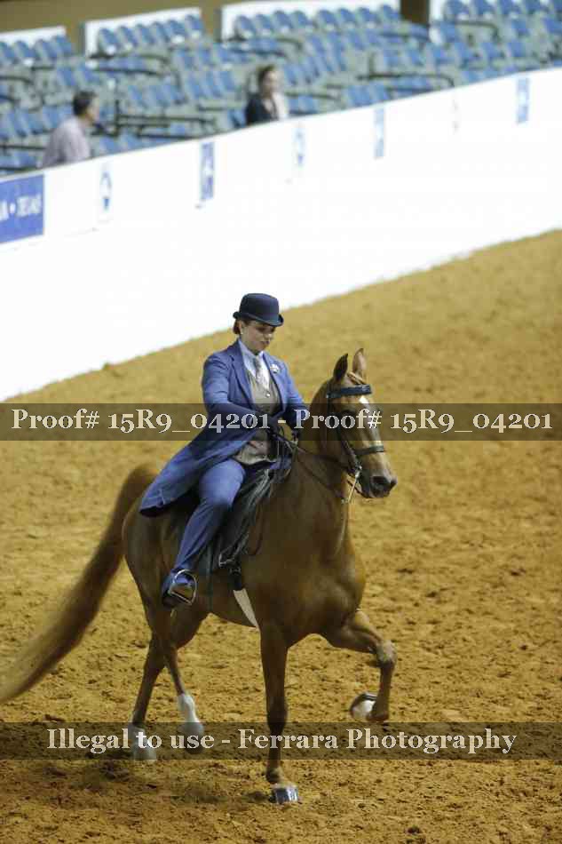 Proof 15R9_04201