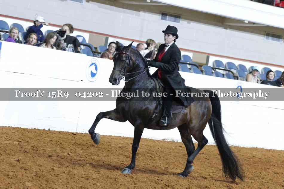Proof 15R9_04202