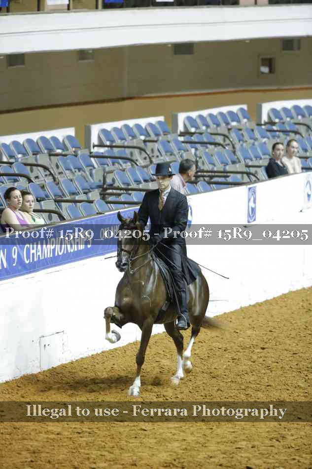 Proof 15R9_04205