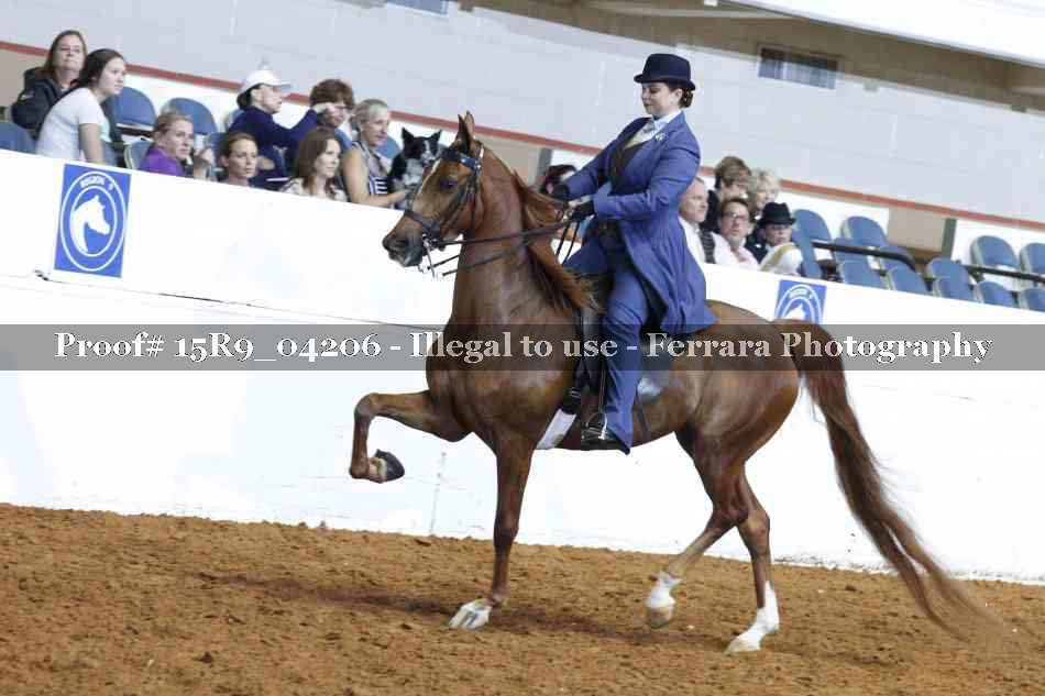 Proof 15R9_04206
