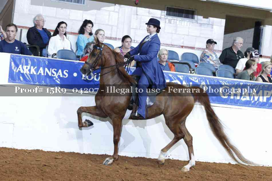 Proof 15R9_04207