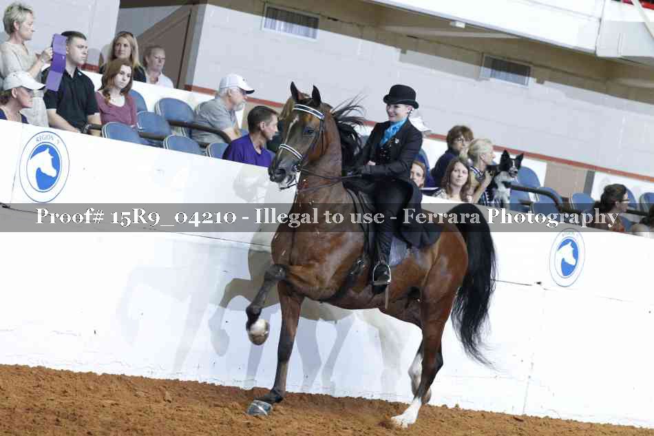 Proof 15R9_04210