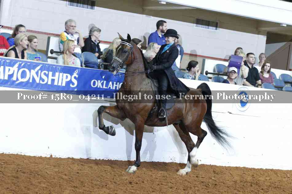 Proof 15R9_04211