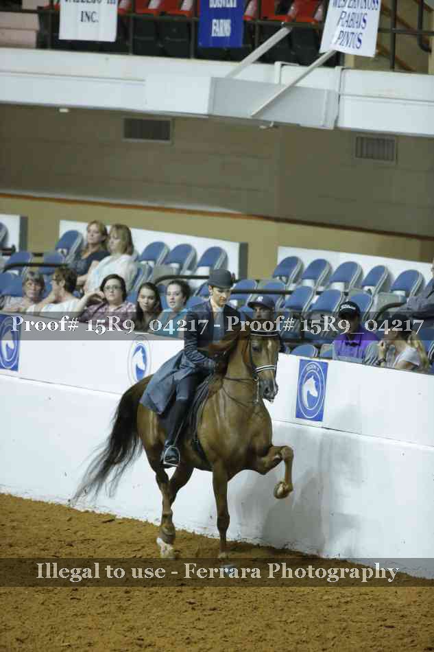 Proof 15R9_04217