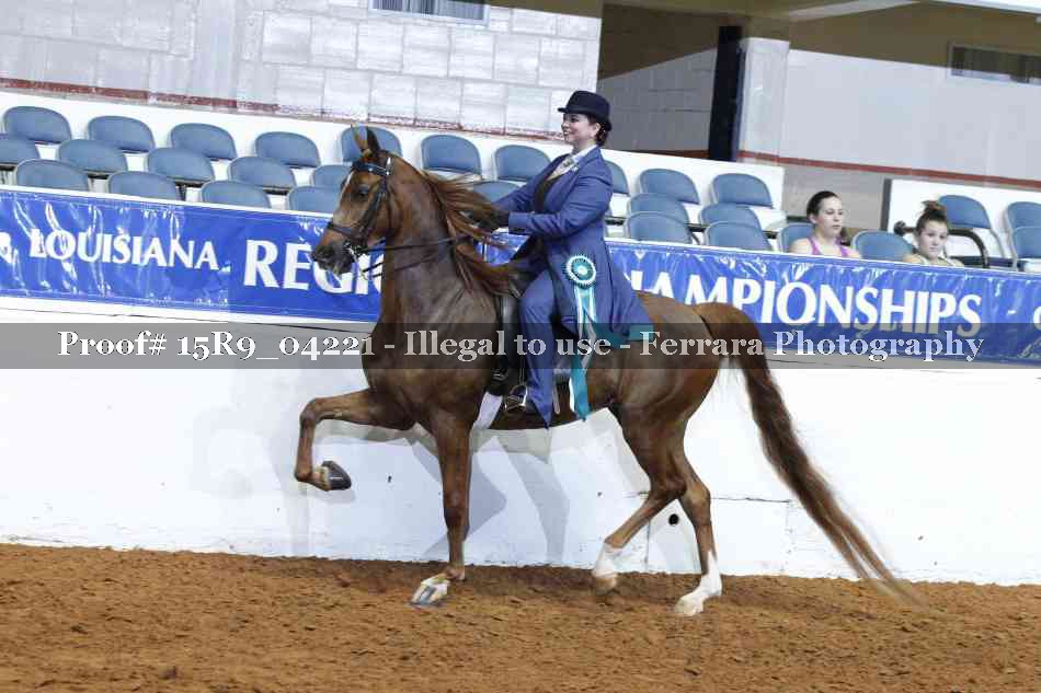 Proof 15R9_04221
