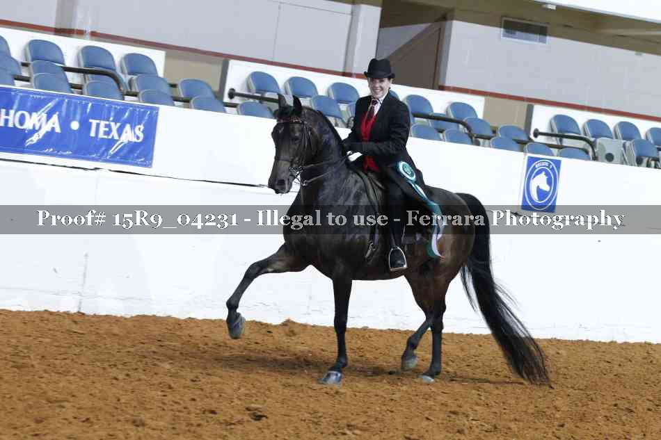 Proof 15R9_04231