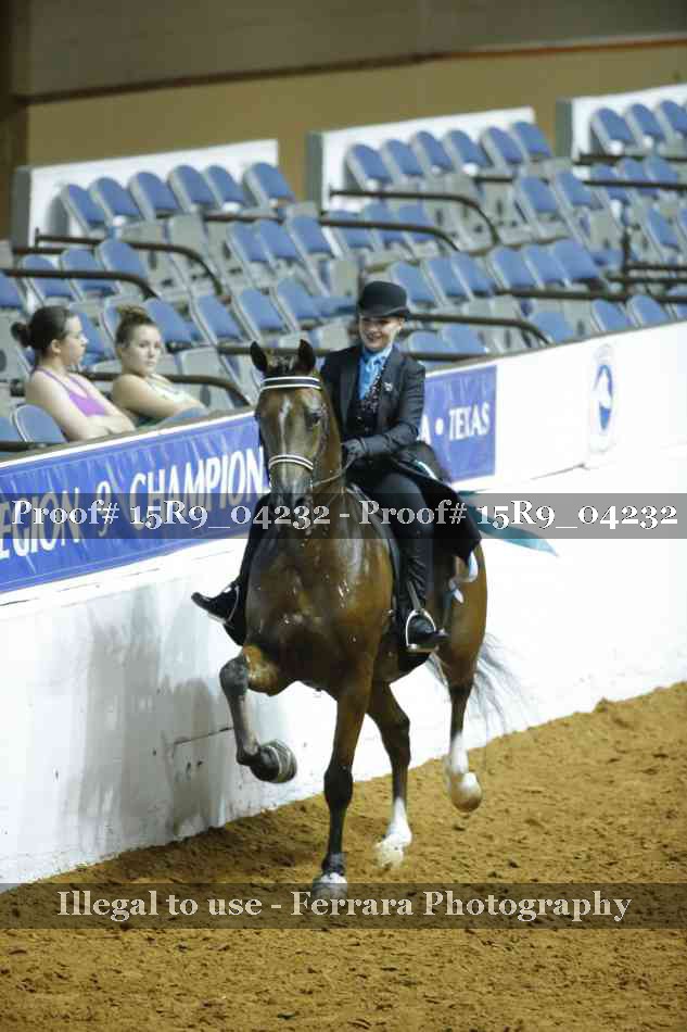 Proof 15R9_04232