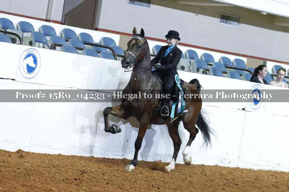 Proof 15R9_04233