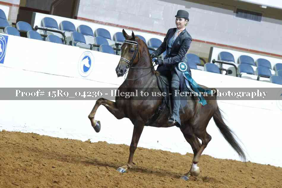 Proof 15R9_04236