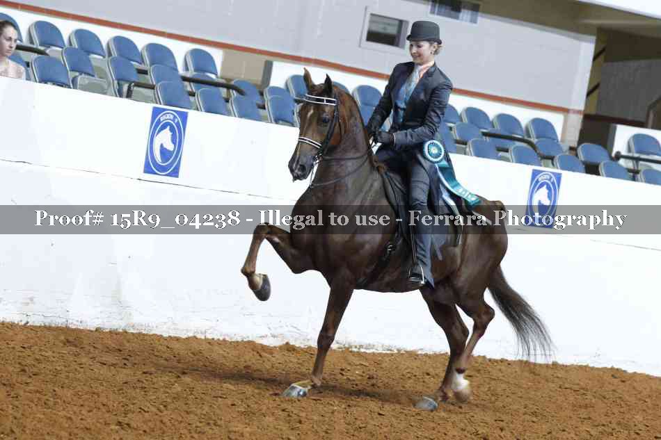 Proof 15R9_04238