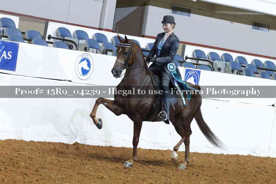 Proof 15R9_04239