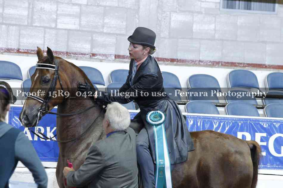 Proof 15R9_04241