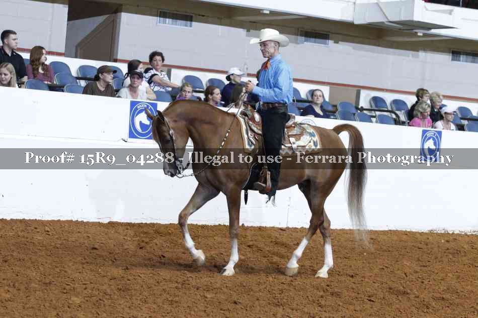 Proof 15R9_04288