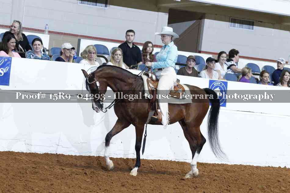 Proof 15R9_04293