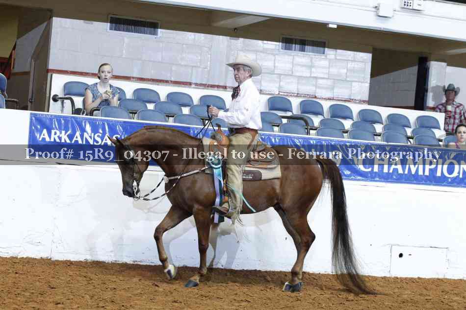 Proof 15R9_04307