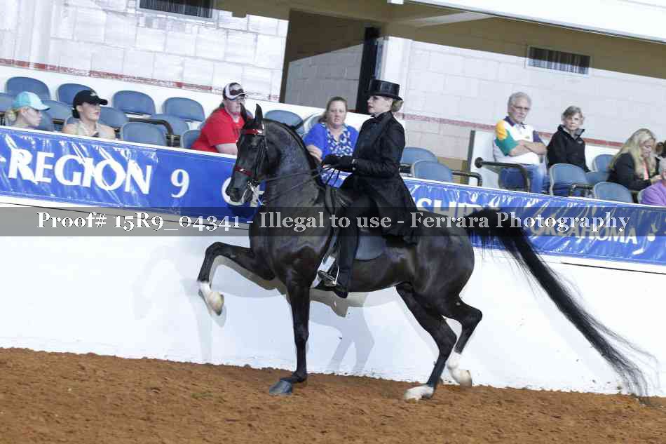 Proof 15R9_04341