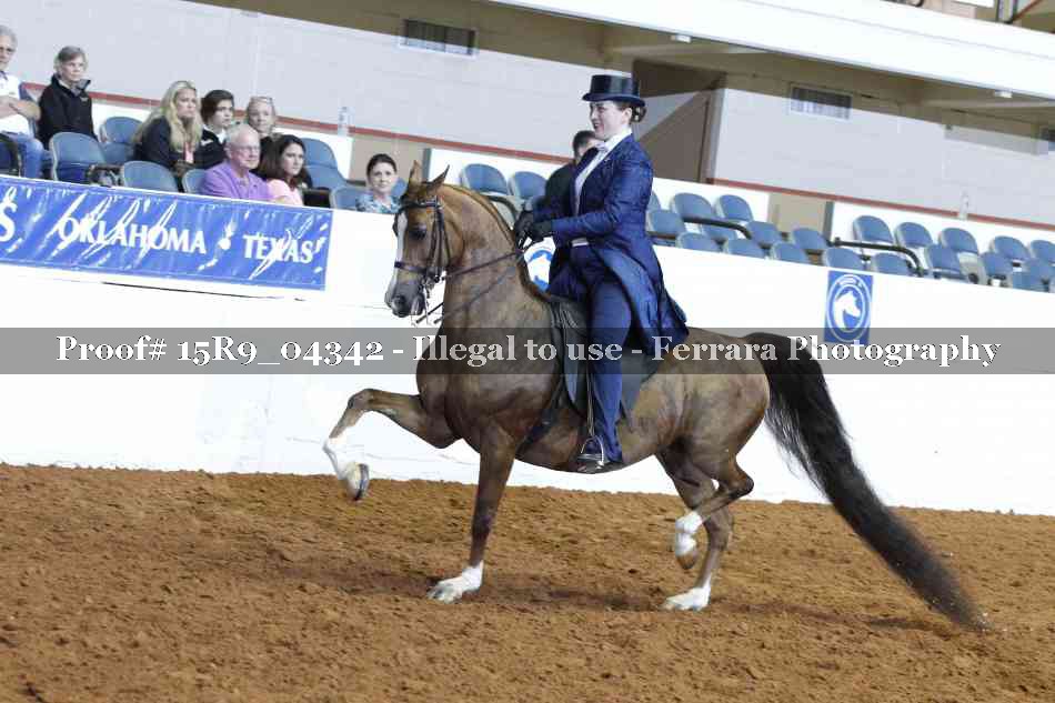 Proof 15R9_04342