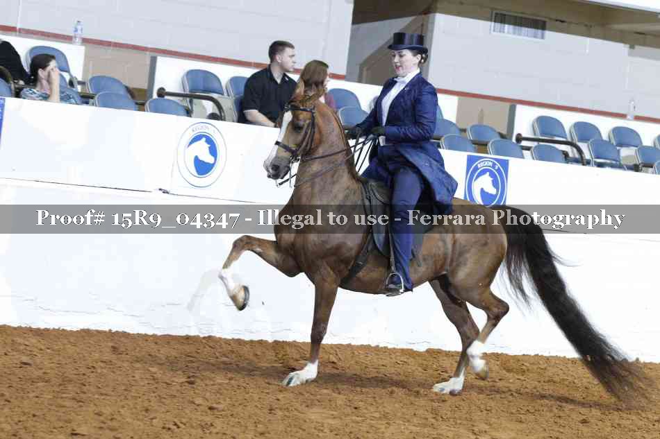 Proof 15R9_04347