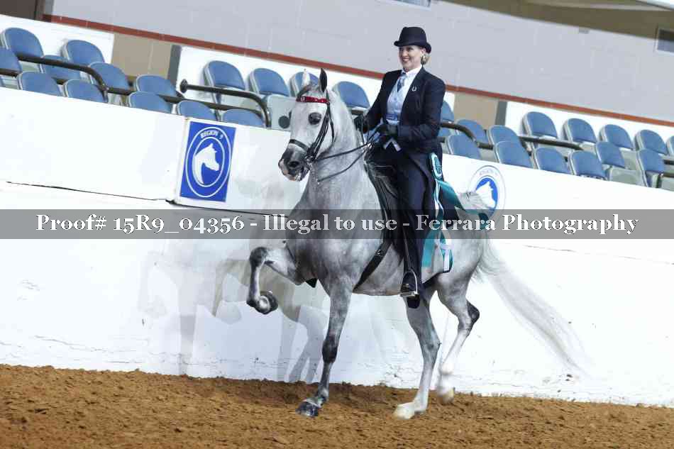 Proof 15R9_04356