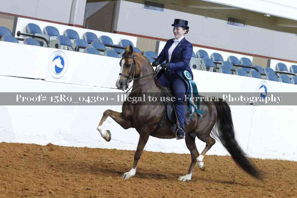Proof 15R9_04360