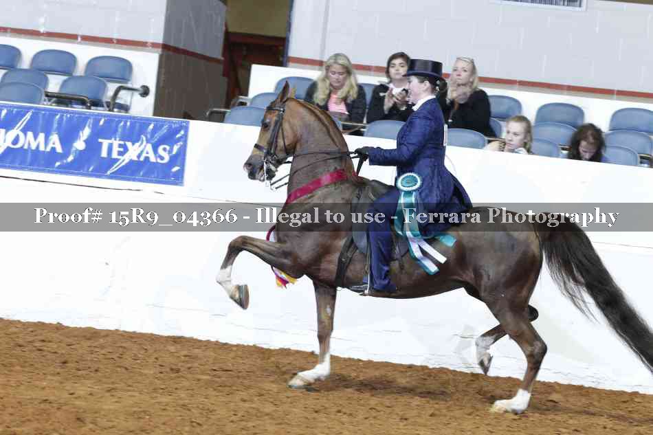 Proof 15R9_04366