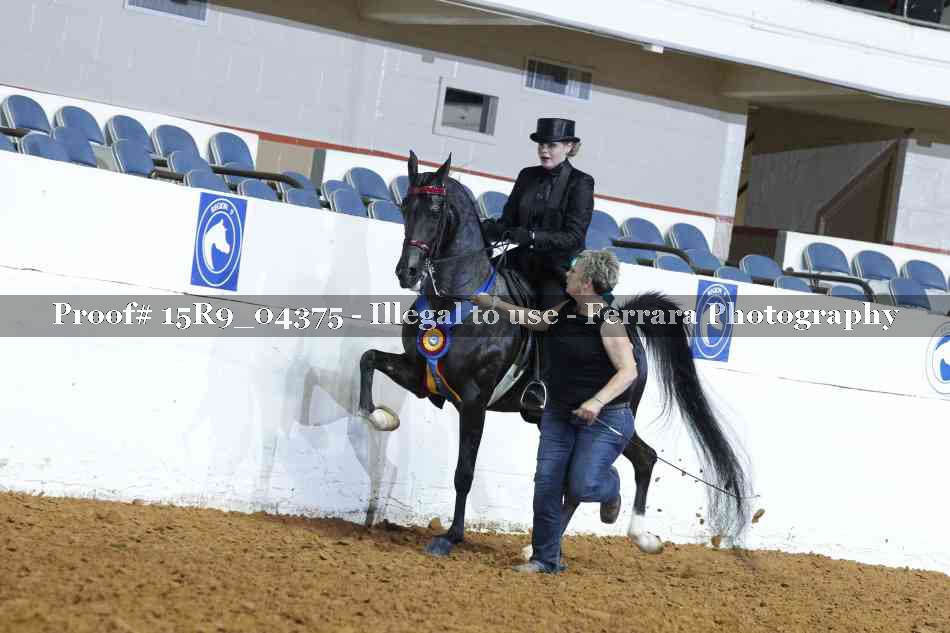 Proof 15R9_04375