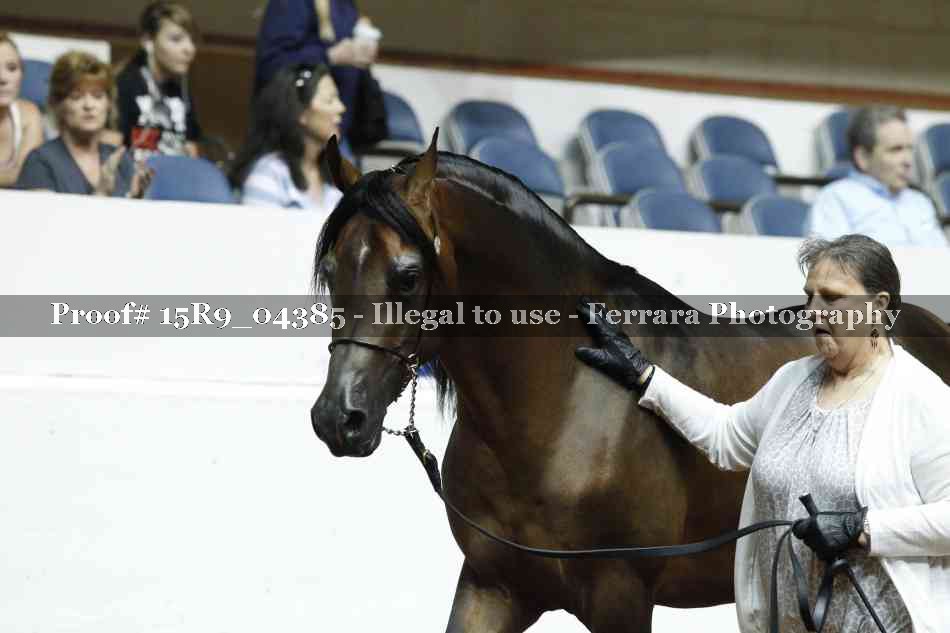 Proof 15R9_04385
