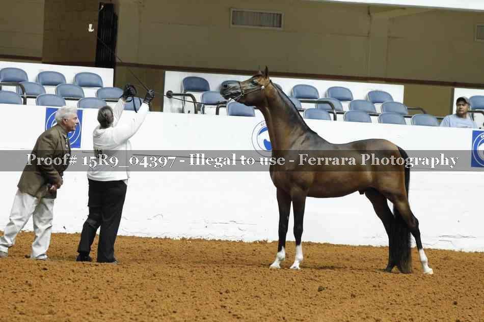 Proof 15R9_04397