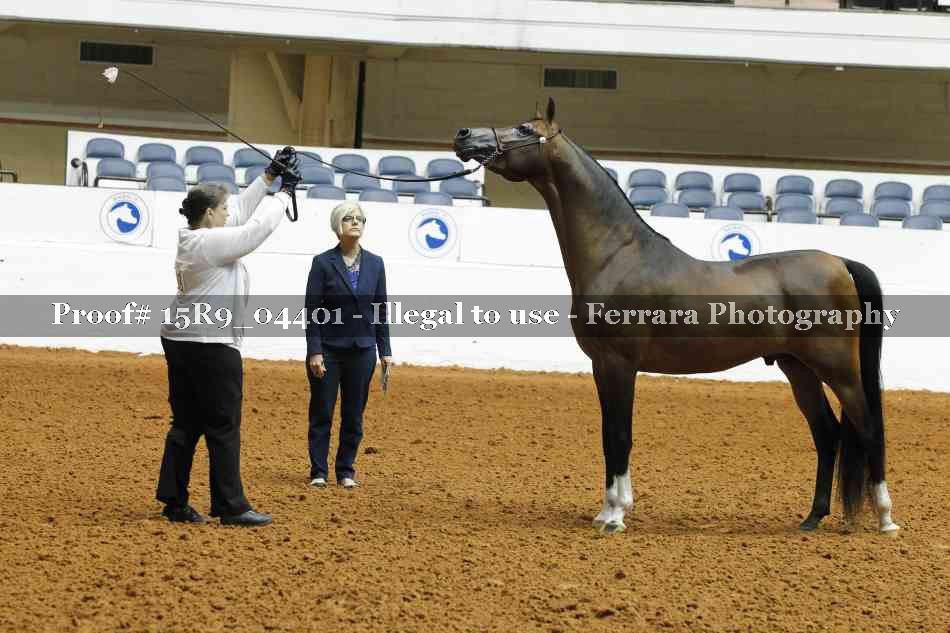 Proof 15R9_04401