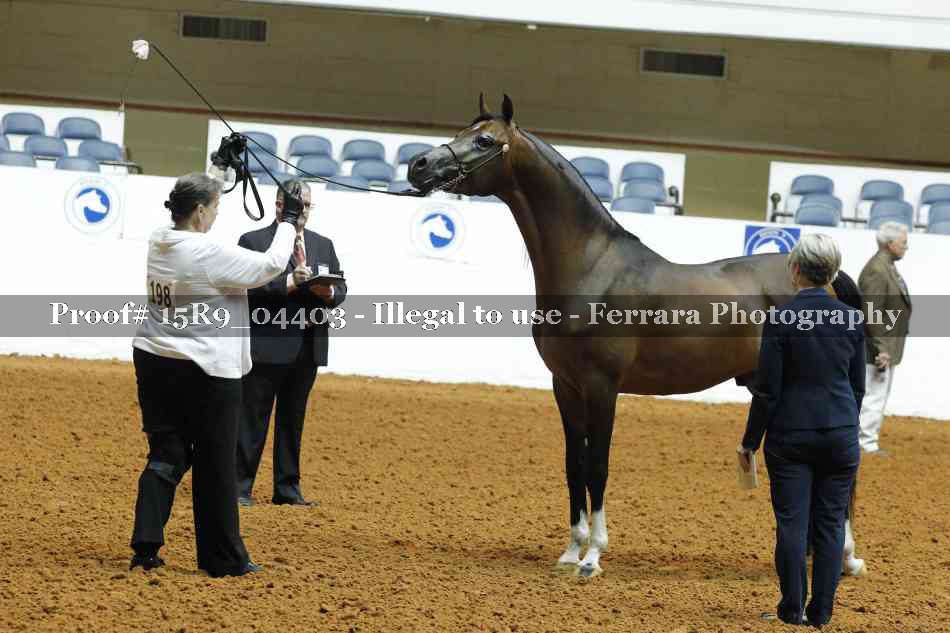 Proof 15R9_04403