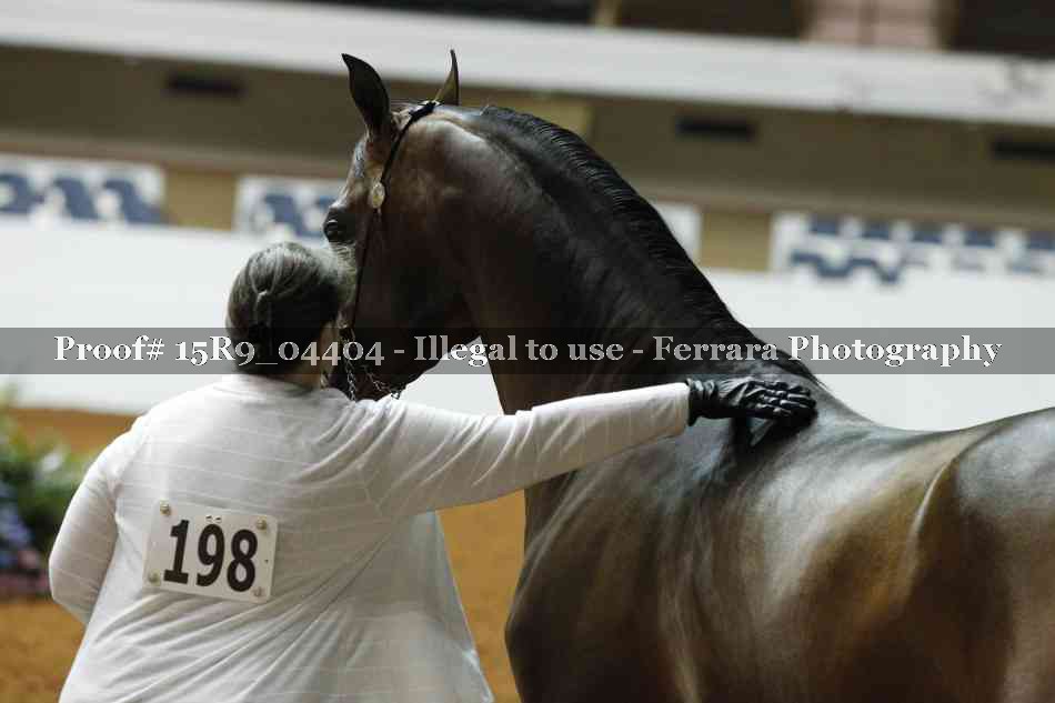 Proof 15R9_04404