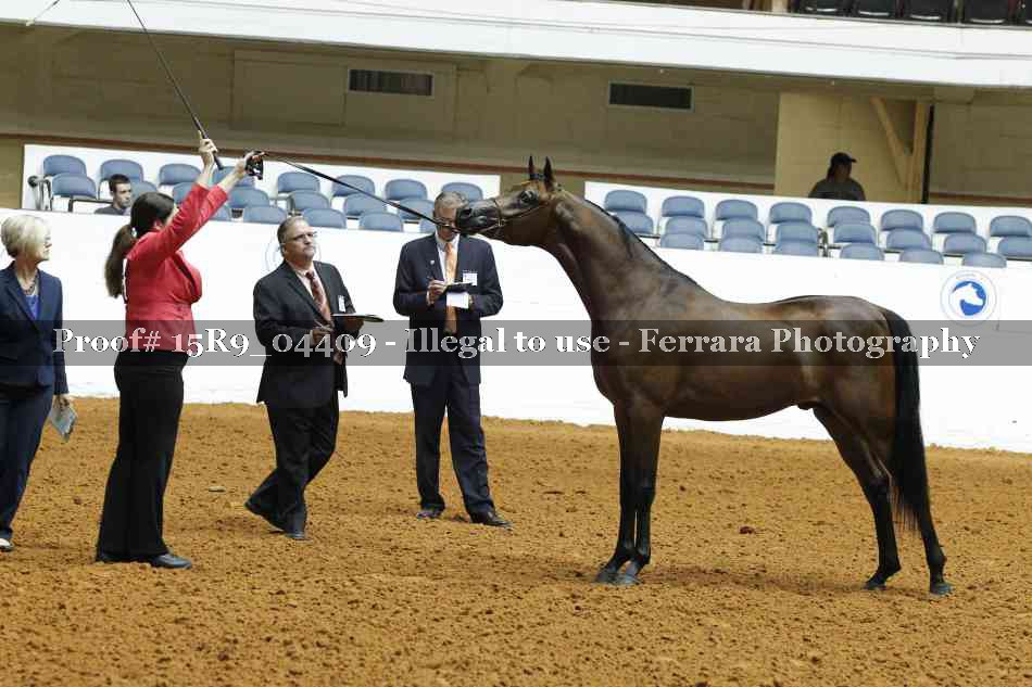 Proof 15R9_04409