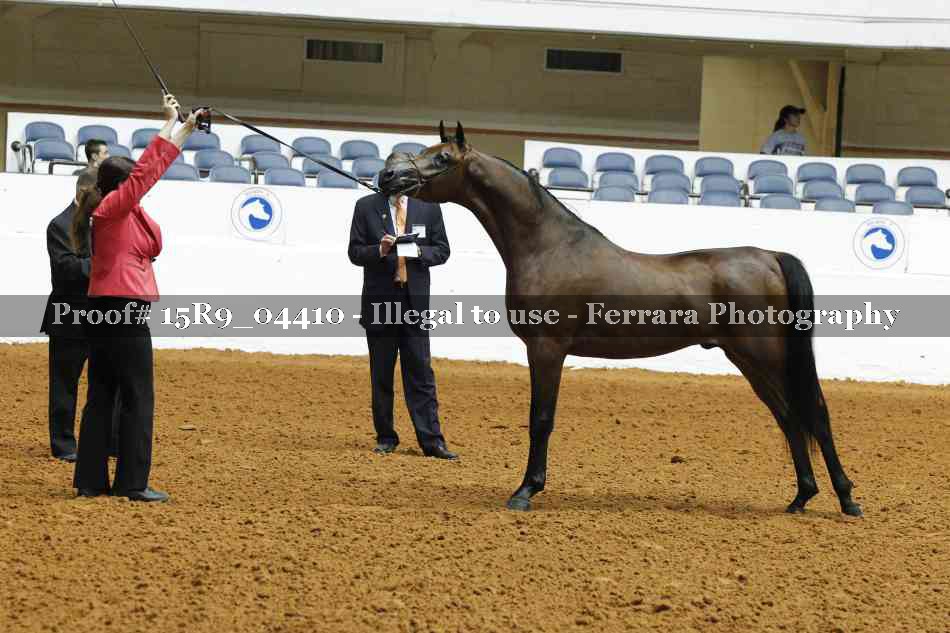 Proof 15R9_04410