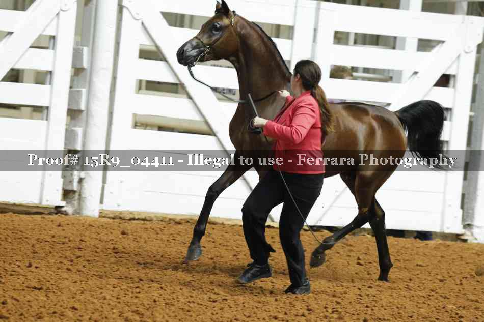 Proof 15R9_04411
