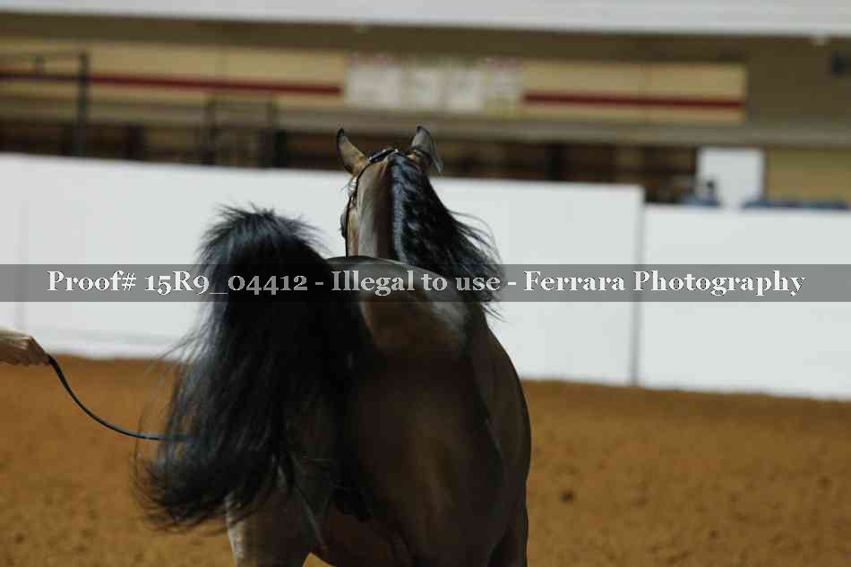 Proof 15R9_04412