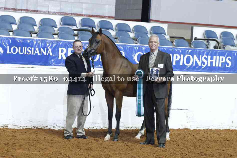 Proof 15R9_04414