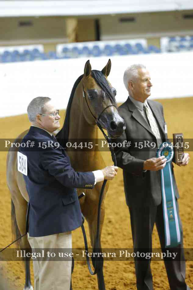 Proof 15R9_04415
