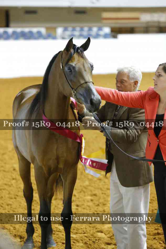 Proof 15R9_04418