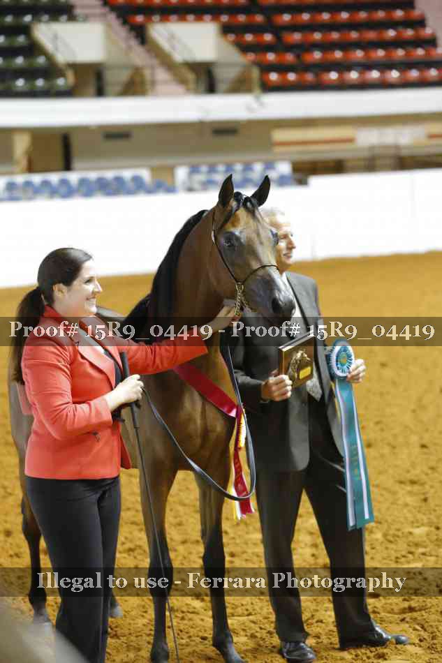 Proof 15R9_04419